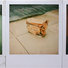 Cropped_68_buscame-pachacuti