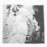 Cropped_68_bauman_03