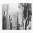 Cropped_68_bauman_04