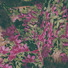 Cropped_68_86dc562daa