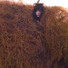 Cropped_68_linda_adele_goodine01web