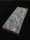 Proportional_227_shelter_serra_chocolates