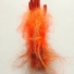 Cropped_68_ss6_0972