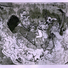 Cropped_68_magicmountain_lowres