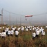 Cropped_68_hirsch