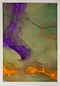 Proportional_227_rr.re0078
