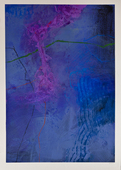 Proportional_227_rr.re0079