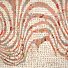 Cropped_68_ncollazollorens_locus2