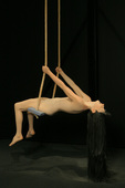Proportional_227_pulse_a
