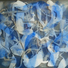 Cropped_68_cape_discovery_b