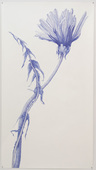 Proportional_227_6224f112fb