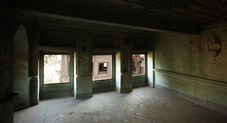 Proportional_227_dmc_nishan_600