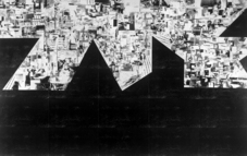 Proportional_227_lail