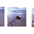 Cropped_68_gl_8593_-_bone_sand_ball_tide_all-must_be_shown_in_alpha._order