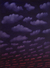 Proportional_68_vr.clouds.at.dawn