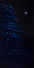 Proportional_68_vr.lunar.halo