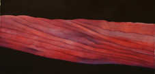 Proportional_227_vr.roll.cloud