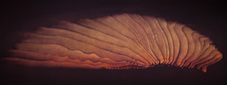 Proportional_227_vr.king.of.clouds