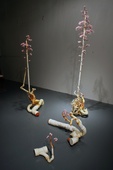 Proportional_227_fixed_cycle