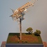 Cropped_68_house_decon