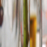 Cropped_68_42nd_monikabravo.027-001