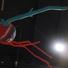 Cropped_68_sputnik_for_web