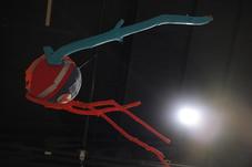 Proportional_227_sputnik_for_web