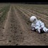 Cropped_68_lemon-03