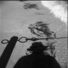 Cropped_68_maier009314_lg