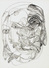 Proportional_68_zurn_134_wr_cropped