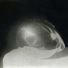 Cropped_68_brancusi