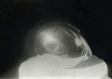 Proportional_227_brancusi