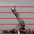 Cropped_68_marclay