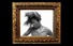 Proportional_68_newsomesm