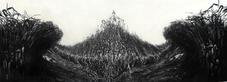 Proportional_227_naked_in_death