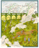 Proportional_68_imageresize.php
