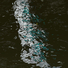 Cropped_68_7475a7b43a14756a971716acc482d449