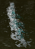 Proportional_227_7475a7b43a14756a971716acc482d449