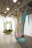 Proportional_227_neto25