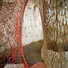 Cropped_68_neto15
