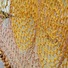 Cropped_68_netodetail