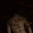 Cropped_68_arias_-_mutatis_mutandis_2011