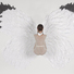 Cropped_68_arias_-_whiteglider_2012