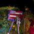 Cropped_68_we.graceland.wreath.with.confederate.flag