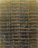 Proportional_68_bm12_c-1166_300