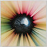 Cropped_68_synthland54