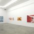 Cropped_68_rm_animals_install_1_675_450