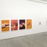 Cropped_68_rm_animals_install_3_675_450