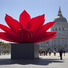 Cropped_68_aam_phantoms_hwa_breathing_flower_2012.1.8a