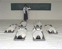 Proportional_227_aam_phantoms_radsjarmrearnsook_2012.1.17.a.2